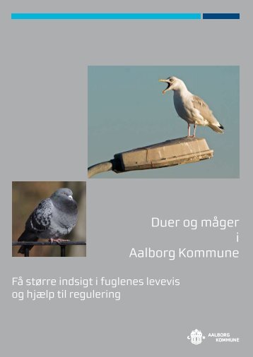 Duer og måger i Aalborg Kommune