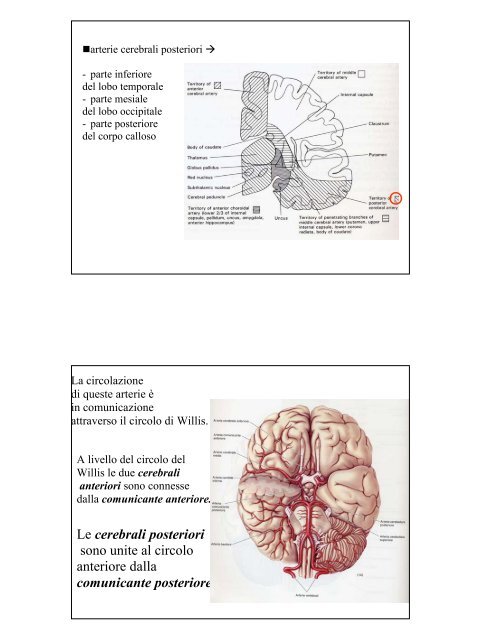 - Concetto di sintomo da disconnessione ... - SognoPsicologia