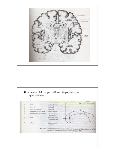 - Concetto di sintomo da disconnessione ... - SognoPsicologia