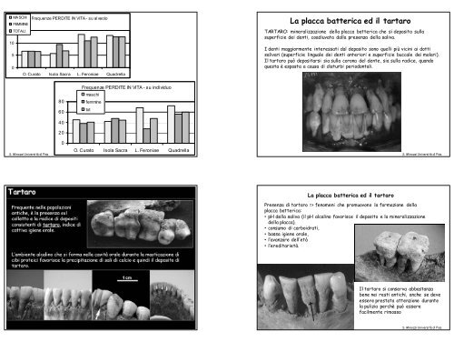 Vocaboli utili parlando di denti: - Paleopatologia