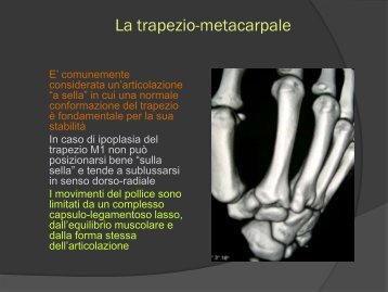 La trapezio-metacarpale