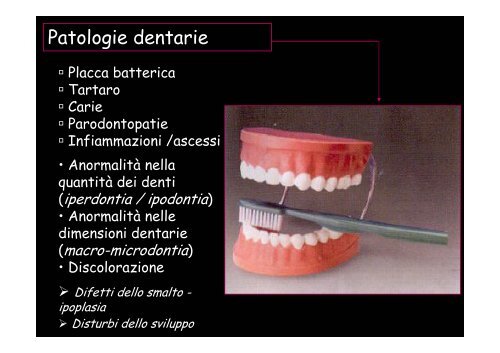 Antropologia dentaria - Università degli Studi della Tuscia