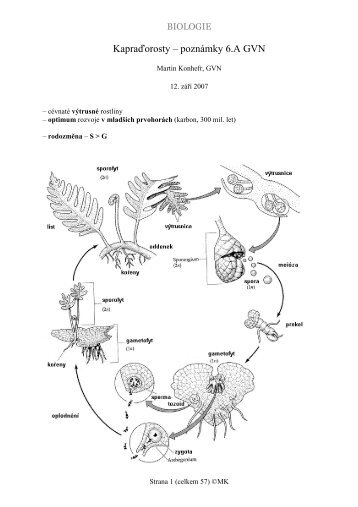 Biologie