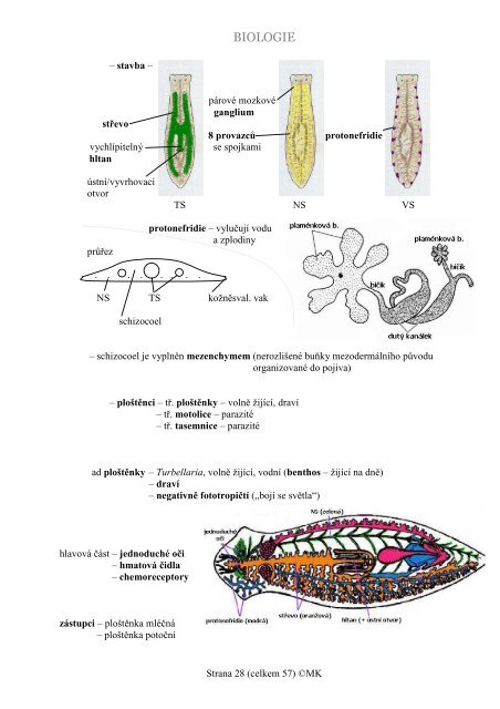 Biologie