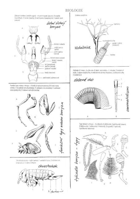 Biologie