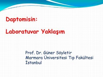 Güner Söyletir_GS.daptomisin2