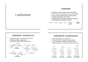 I carboidrati