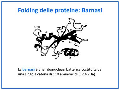 Dicroismo circolare