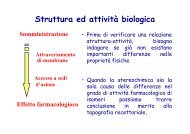 1-5 Struttura attività - Scuola1024