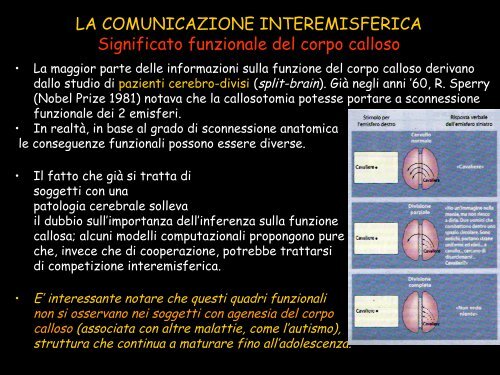 Le strutture cerebrali - Neurofisiologia.unige.it