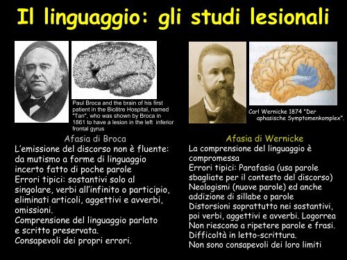 Le strutture cerebrali - Neurofisiologia.unige.it