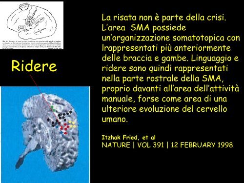 Le strutture cerebrali - Neurofisiologia.unige.it