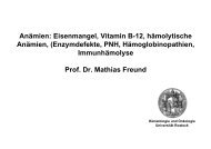 Eisenmangel, Vitamin B-12, hämolytische Anämien - Hämatologie ...