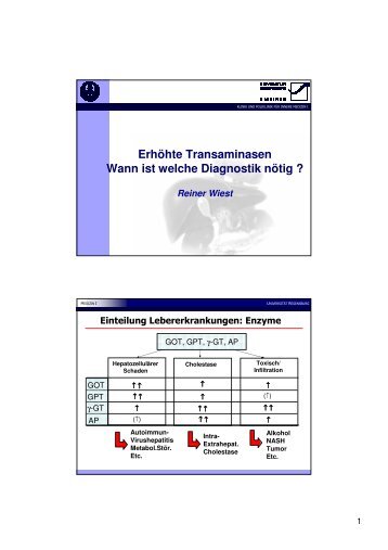 Erhöhte Transaminasen Wann ist welche Diagnostik nötig