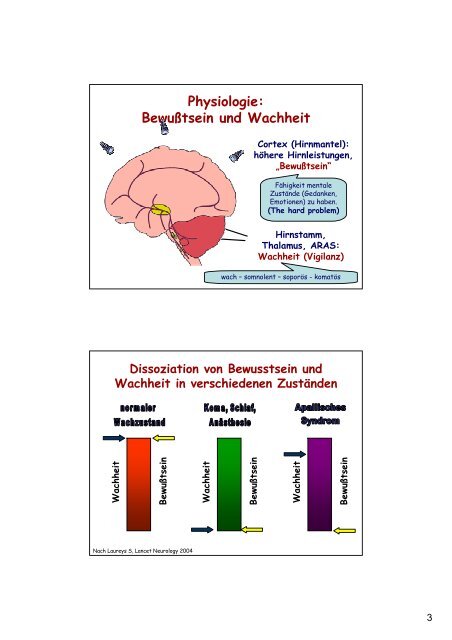 Das apallische Syndrom