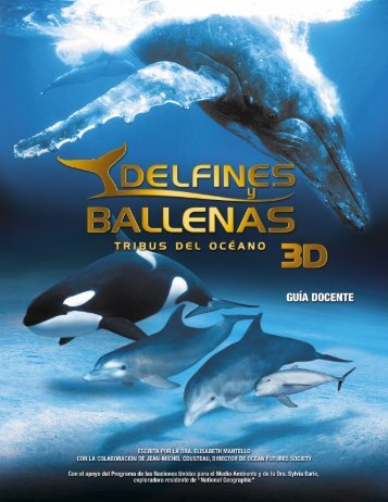 ejercicio a - delfines y ballenas 3d