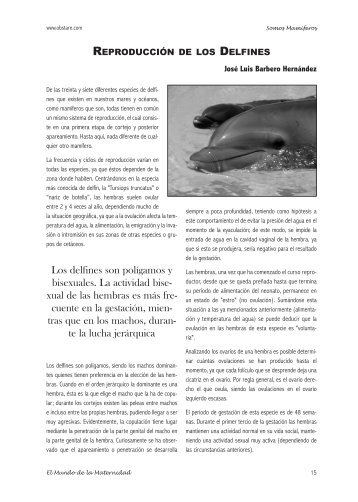 Los delfines son polígamos y bisexuales. La actividad bise- xual de ...