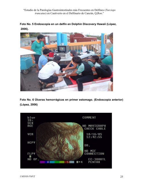 estudio de las patologias gastrointestinales mas frecuentes en ...