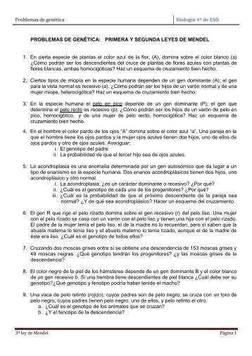 Problemas de genética Biología 4º de ESO PROBLEMAS DE ...