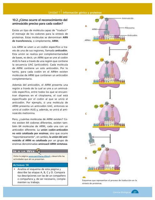 Bio4.pdf