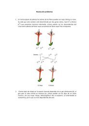 Resolución problemas