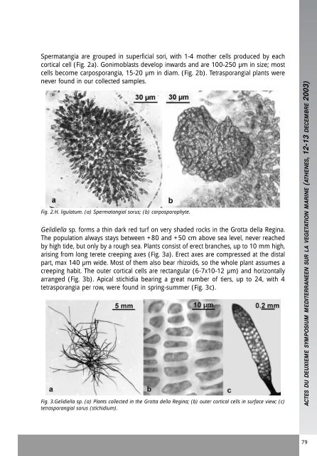 Proceedings of the Second Mediterranean Symposium on Marine