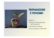 propagazione per seme - Salentoagroalimentare.Eu