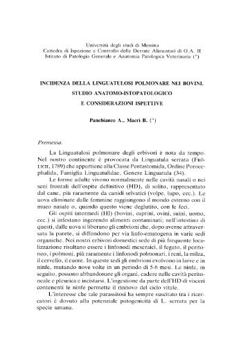 B. - Incidenza della linguatulosi polmonare nei bovini. Studio anatomo
