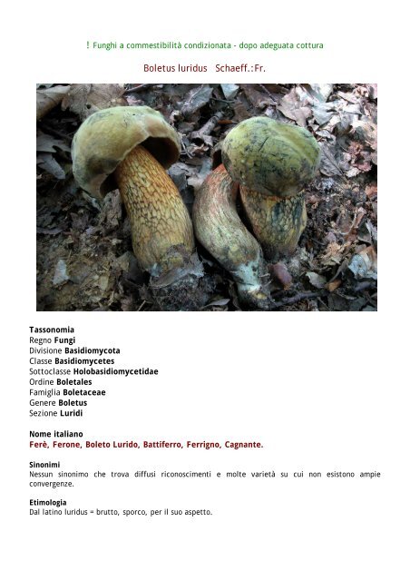 Schede dei funghi e tartufi AMINT - GAL Sarcidano Barbagia di Seulo