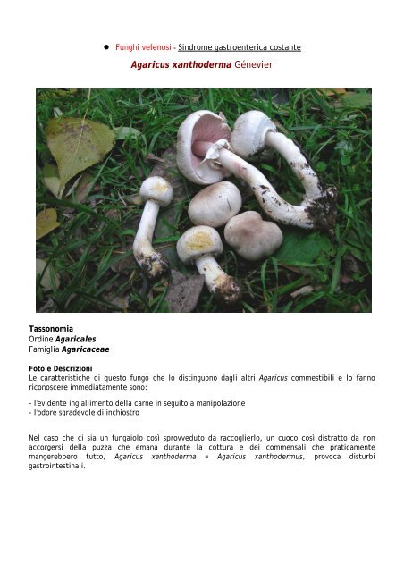 Schede dei funghi e tartufi AMINT - GAL Sarcidano Barbagia di Seulo