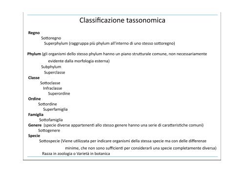 Zoologia Sistematica 1