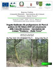 IT5210020 - Regione Umbria - Agricoltura e Foreste