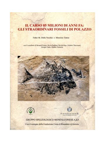 Il Carso 85 milioni di anni fa: gli straordinari - Il museo paleontologico