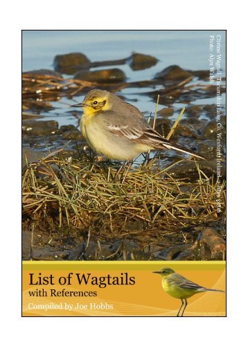 Wagtail references - Irish Rare Birds Committee