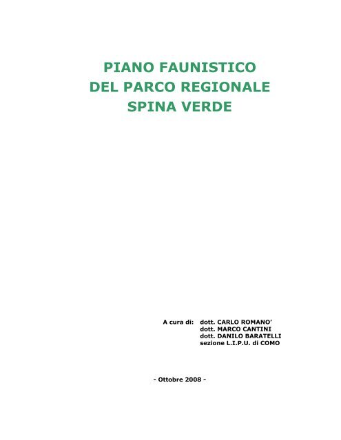 piano - relazione - Spina Verde