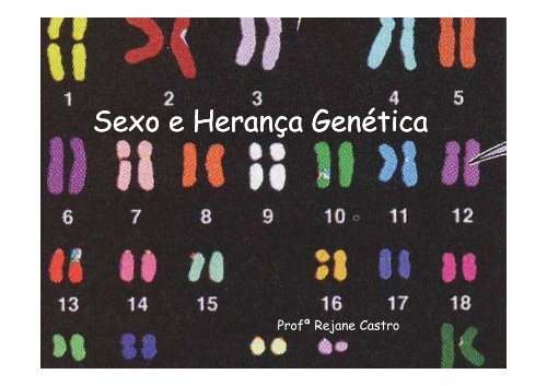 Sexo e Herança Genética