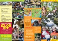 Becky Falls Woodland Park Tourism Leaflet - Tourismleafletsonline ...