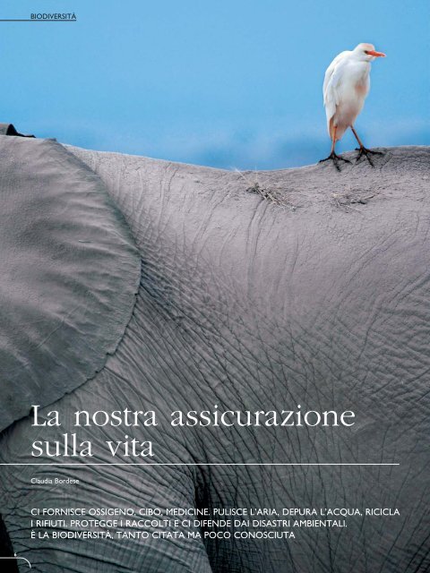 download rivista PDF - Regione Piemonte