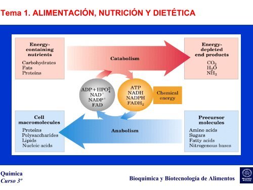 Tema 1. ALIMENTACIÓN, NUTRICIÓN Y DIETÉTICA