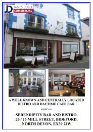 serendipity bar and bistro, 25 / 26 mill street, bideford, north devon ...