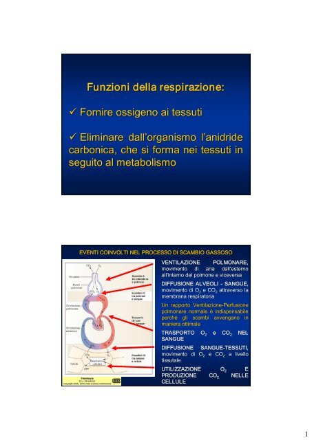 Col 24) Meccanica respiratoria 1.pdf - Ferraldo.Eu