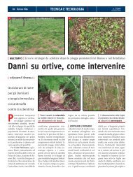 Danni su ortive, come intervenire - Edagricole