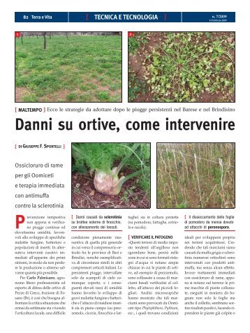 Danni su ortive, come intervenire - Edagricole