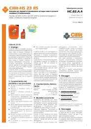 Cillit-HS 23 RS - Cillichemie