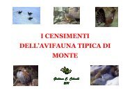 Corso per censitori censimenti avifauna tipica alpina - Provincia di ...