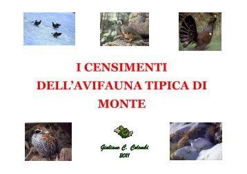 Corso per censitori censimenti avifauna tipica alpina - Provincia di ...