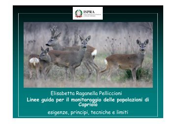 Linee guida per il monitoraggio delle popolazioni di Capriolo ...