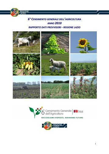 Rapporto dati provvisori 6° Censimento Agricoltura ... - Regione Lazio