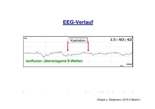 Ferkelbetäubung – Welche Erkenntnisse haben die ... - BMELV