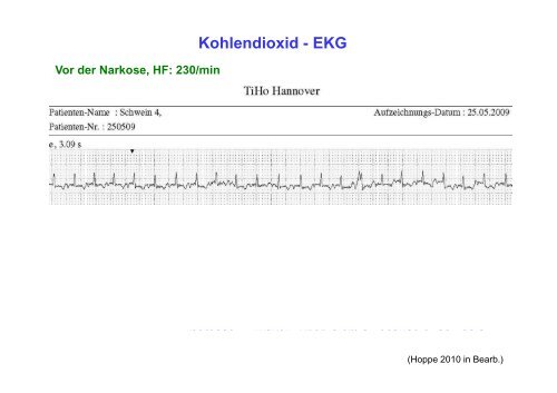 Ferkelbetäubung – Welche Erkenntnisse haben die ... - BMELV